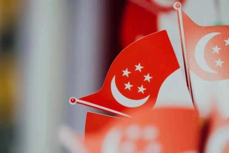 新加坡自雇移民成功成功案例：恭喜H女士全家獲得身份
