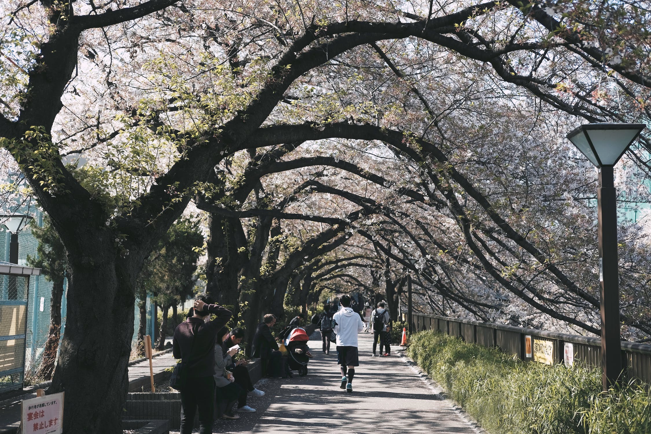 獲得日本永居身份的六種方法！最快一年就能申請永?。?></div><div   id=